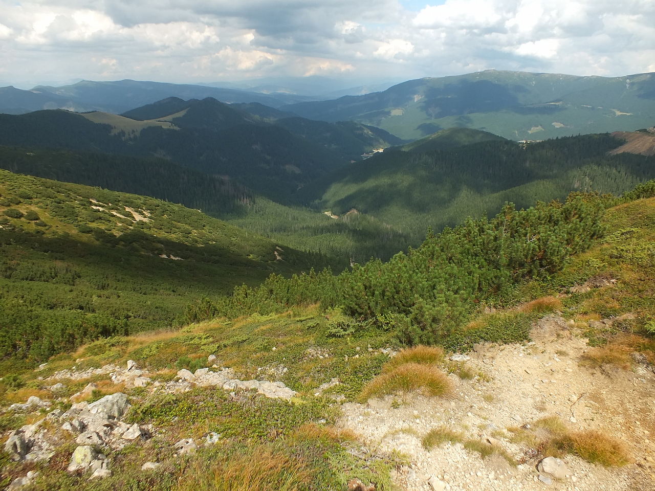 © <a href='http://rtol.de' title='Dynamische Webseiten mit (X)HTML, PHP, MySQL und CSS für Ihren Internet-Auftritt' target='_blank'>Thiel-IT</a>
11.08.2012 14:56:59
Munții Călimani
Rumänien 2012
Rumänien-Fotos