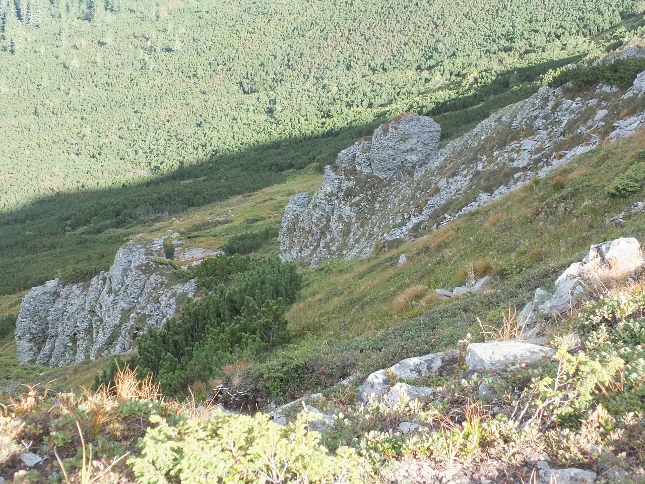 &copy; <a href='http://rtol.de' title='Dynamische Webseiten mit (X)HTML, PHP, MySQL und CSS für Ihren Internet-Auftritt' target='_blank'>Thiel-IT</a>
11.08.2012 16:57:03
Munții Călimani
Rumänien 2012
Rumänien-Fotos